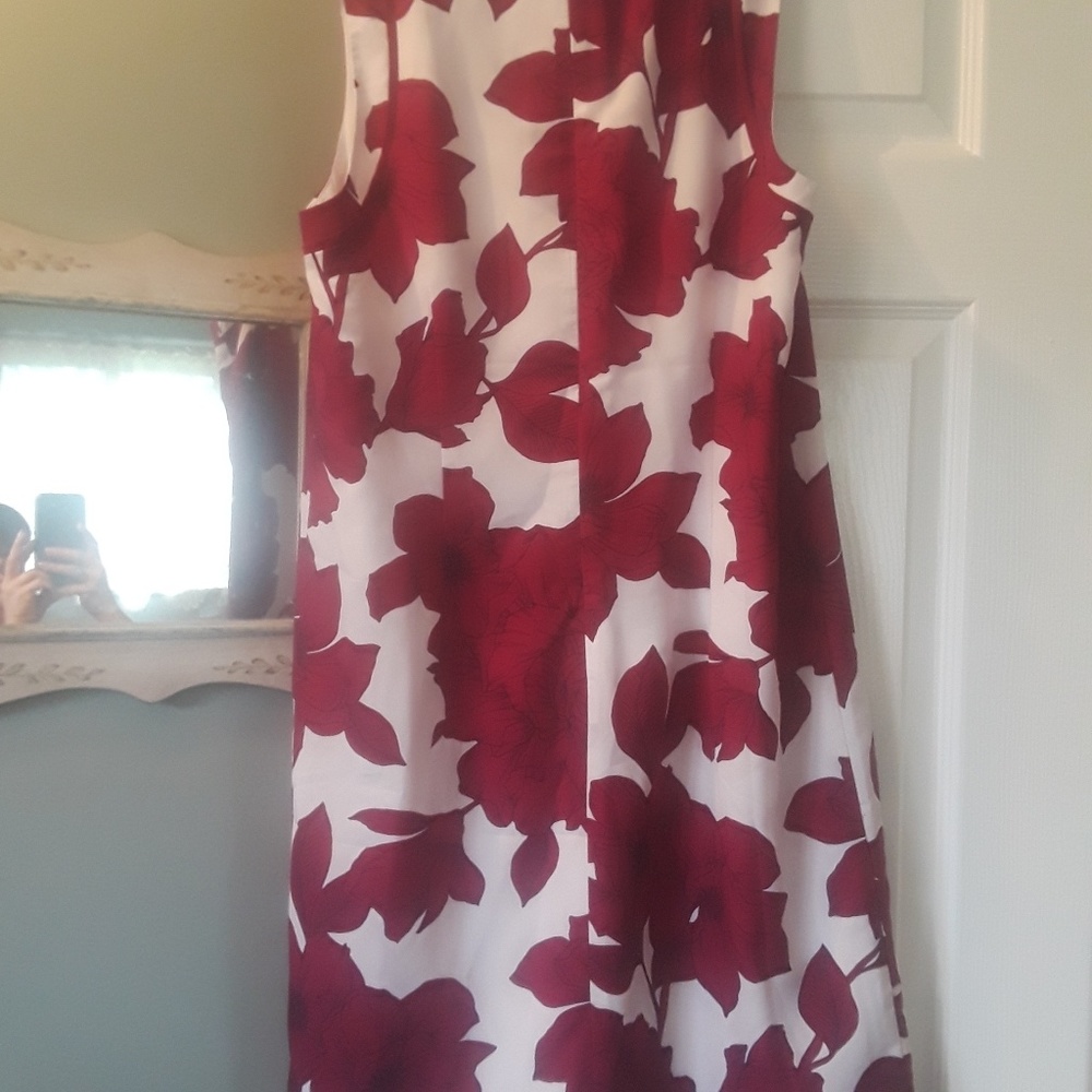 Banana Republic Sleeveless dress never worn